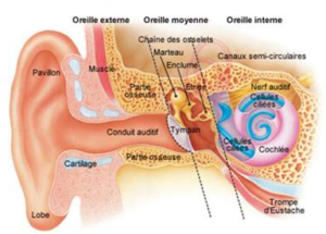appareil-auditif-audioprothesiste-choix-de-prothese-auditive